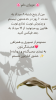 آزی کات