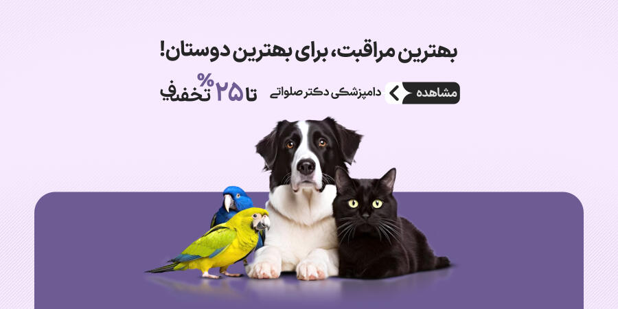 تخفیف ویژه برای دکتر صلواتی در شیراز