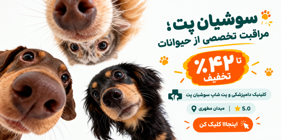 سوشیان پت بنر کنار اسلایدر