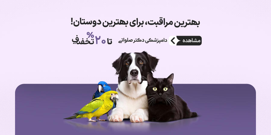 تخفیف ویژه برای دکتر صلواتی در شیراز