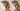 سالن زیبایی تیتیش - فلکه گاز