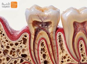 دندانپزشکی حمایتی دکتر علی محبان