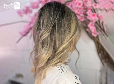 شیراز تخفیف