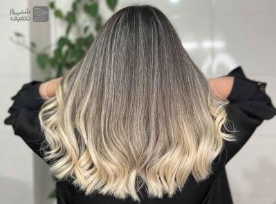 شیراز تخفیف