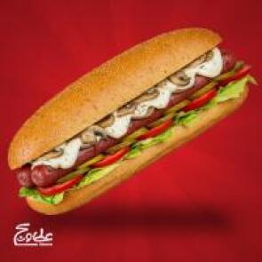 شیراز تخفیف