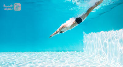 شیراز تخفیف