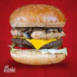 شیراز تخفیف