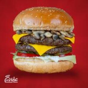 شیراز تخفیف