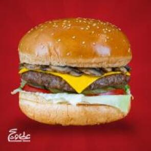 شیراز تخفیف