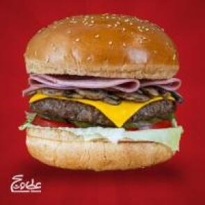 شیراز تخفیف